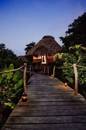 Cotton Tree Lodge