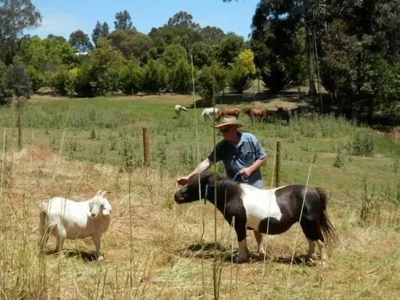 Country Cottages of Bridgetown - Fitness