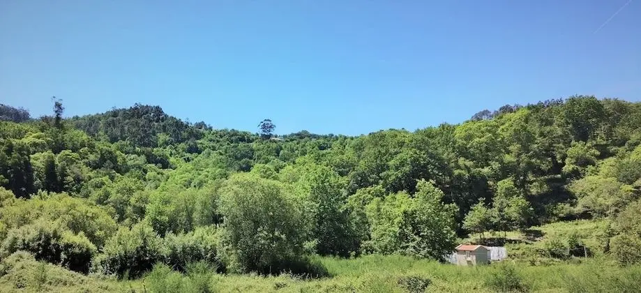 Country House by the River - National Park - Dış Mekan