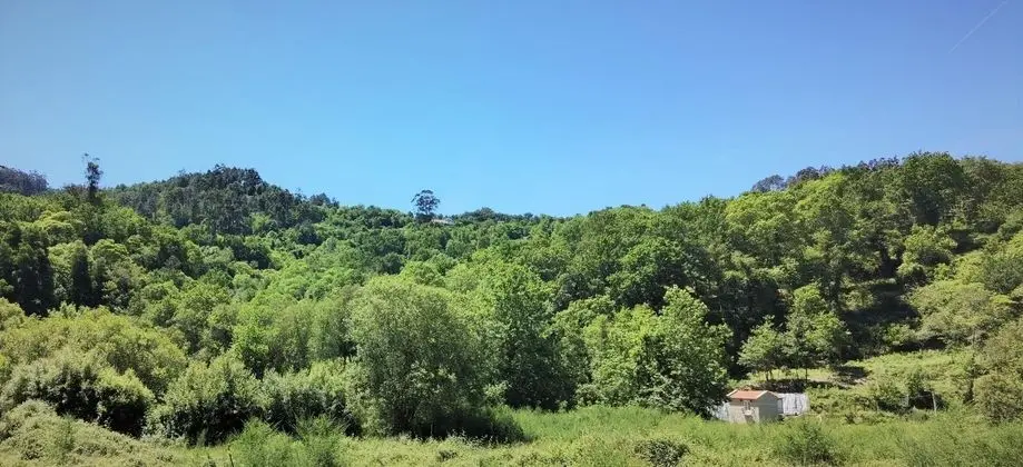 Country House by the River - National Park - Genel