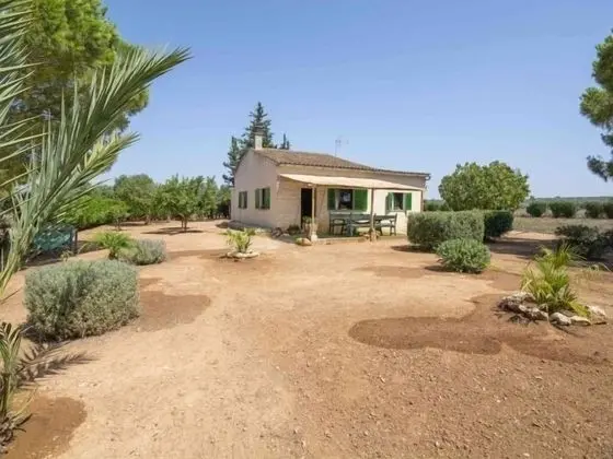 Country House Sa Vinya - Öne Çıkan Resim