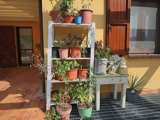 Country House With Swimming Pool and Garden With Mediterranean Plants - İç Mekan