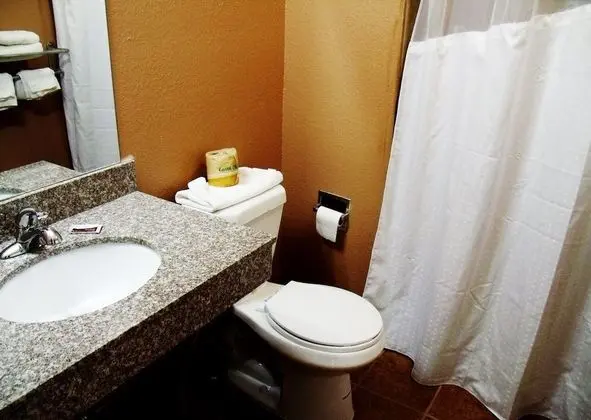 Country Inn Sterling - Banyo Tipleri