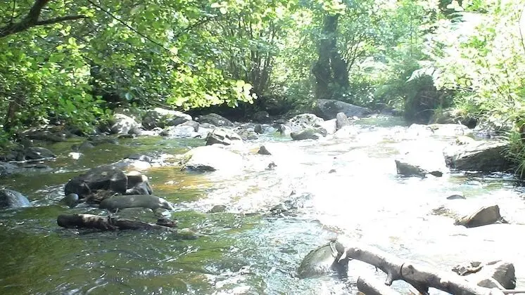 Country Retreats at Butterstone - Dış Mekan