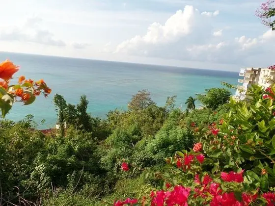 Court Manor at Montego Bay Club - Dış Mekan