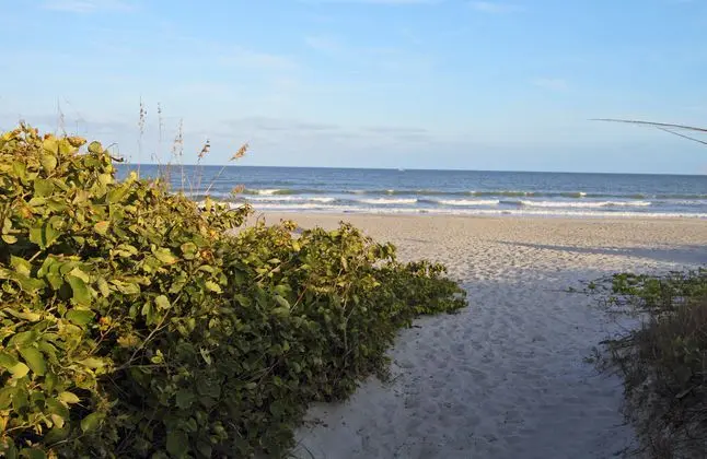 Courtyard Cocoa Beach Cape Canaveral - Plaj