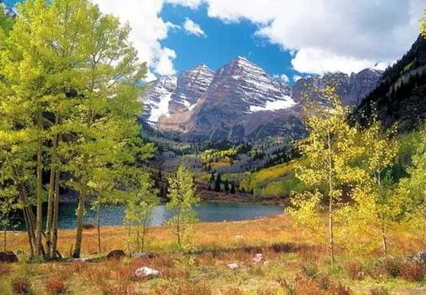 Courtyard Denver Airport