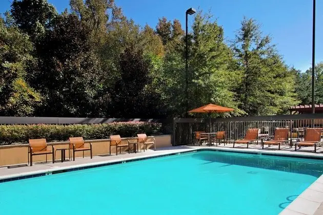Courtyard by Marriott Atlanta Airport West - Havuz