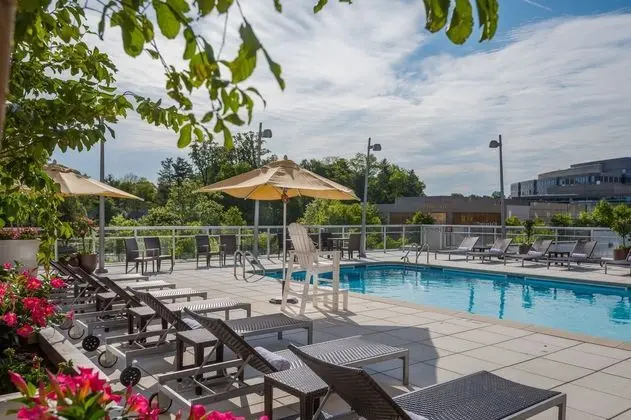 Courtyard by Marriott Chevy Chase - Havuz
