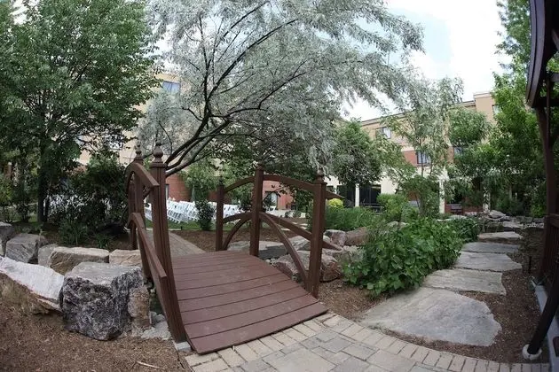 Courtyard by Marriott Hamilton - Dış Mekan
