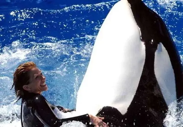 Courtyard San Diego Carlsbad