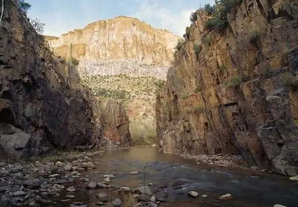 Courtyard Tucson Williams Centre