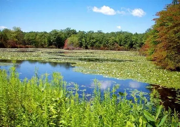 Courtyard Waterbury Downtown