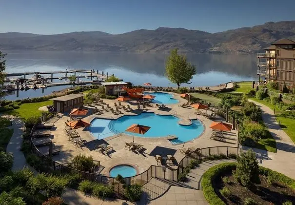 The Cove Lakeside Resort - Havuz