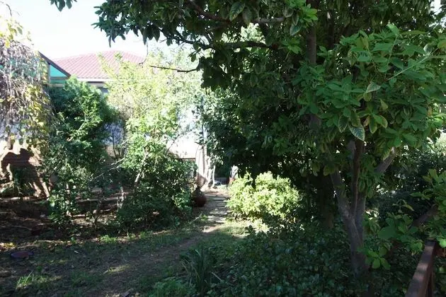Covenant Well Guest House - Dış Mekan