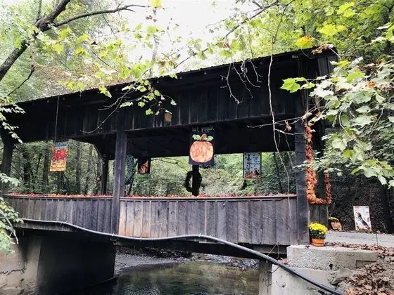 Covered Bridge Cabin - Havuz