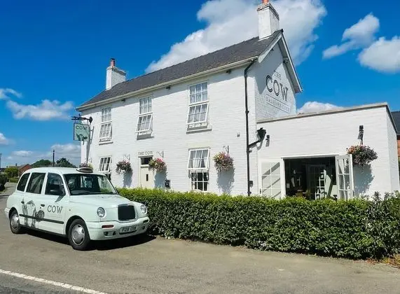 The Cow Dalbury