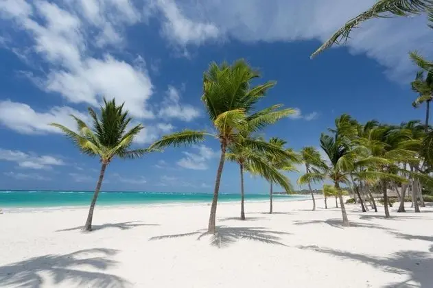 Cozy 2-bedroom Apartment in Private Complex With Pool With Free Shuttle to the Beach - Oda