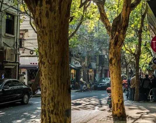 Cozy Apartment Best Location 159 - Dış Mekan