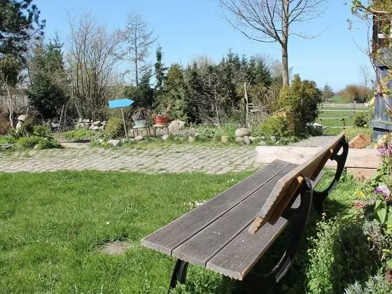 Cozy Apartment in Buschenhagen With Sauna