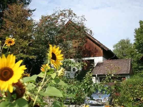 Cozy Apartment in Moos near Lake Constance - Dış Mekan