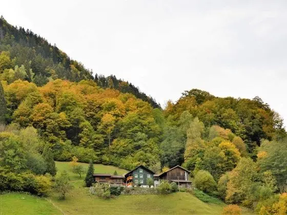 Cozy Apartment near Ski Area in Tschagguns - Öne Çıkan Resim