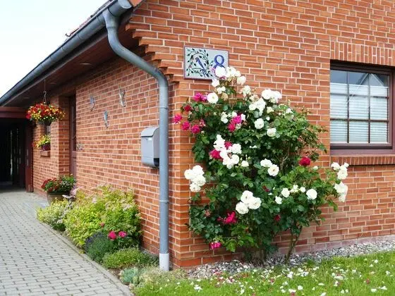 Cozy Apartment in Rövershagen With Garden - Öne Çıkan Resim