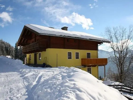 Cozy Apartment in Wagrain near Forest - Dış Mekan