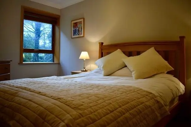 Cozy Ballsbridge Apartment