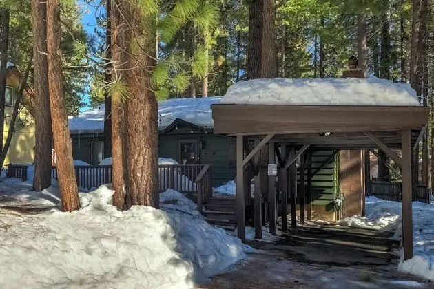 Cozy Bear Cabin - Dış Mekan