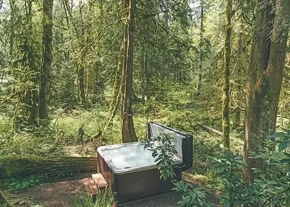 Cozy Bear Cabin - Dış Mekan