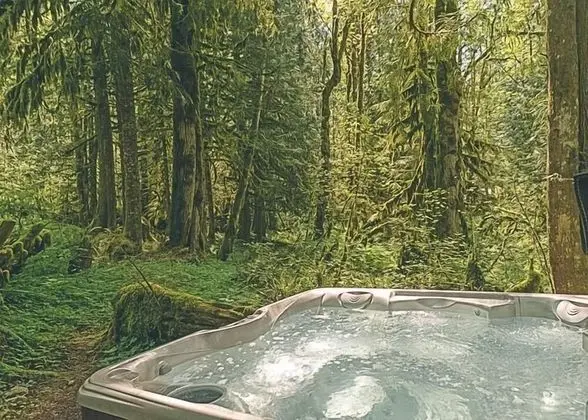 Cozy Bear Cabin - Spa