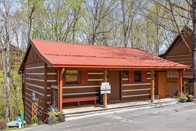 Cozy Bears Cabin - Dış Mekan