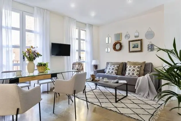 Cozy & Bright Apartment in the Center of Granada. Reyes Católicos