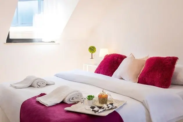 Cozy and Bright Duplex Near City Center