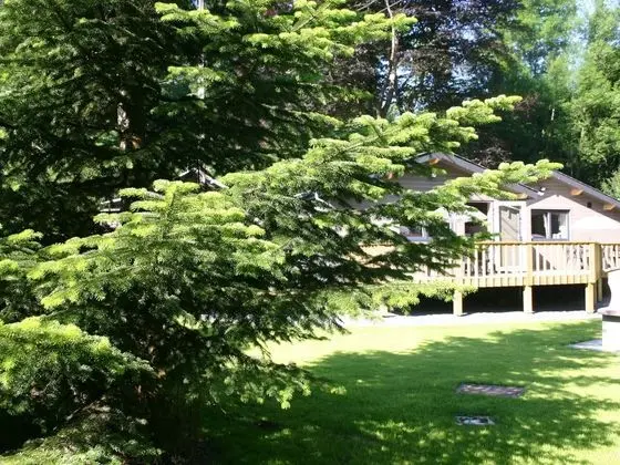 Cozy Chalet in Ardennes near Ourthe River & City of Durbuy - Dış Mekan
