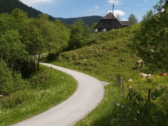 Cozy Chalet in Stadl on the Mur With Barbecue - Dış Mekan