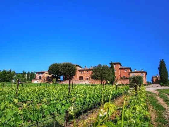 Cozy Farmhouse in Montepulciano With Pool
