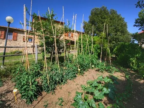 Cozy Farmhouse in Paciano With Private Pool - Dış Mekan