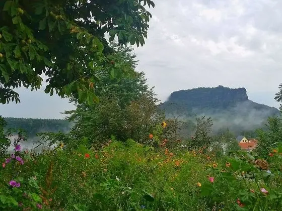 Cozy Holiday Apartment in the "saxon Switzerland" Region