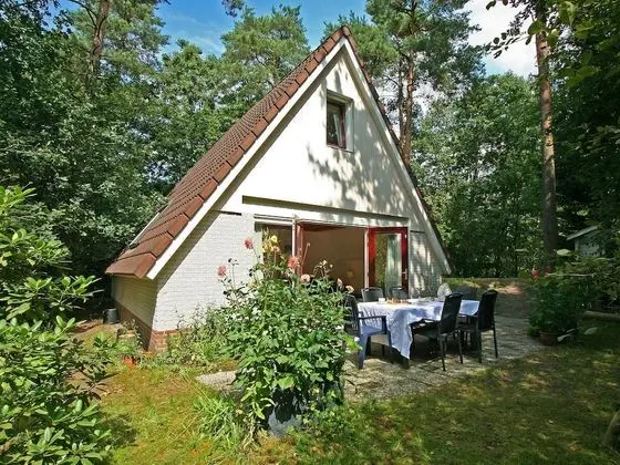 Cozy Holiday Home in Nunspeet near Forest