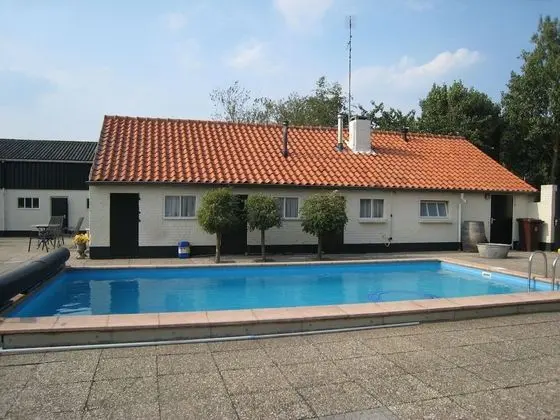 Cozy Holiday Home in Oisterwijk With Swimming Pool