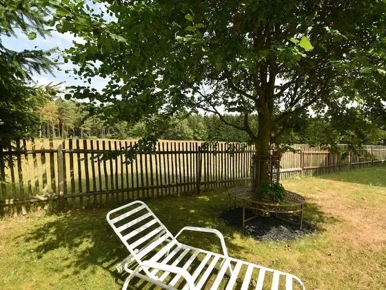 Cozy Holiday Home in Schwarzbach Thuringia With Garden - Dış Mekanlar