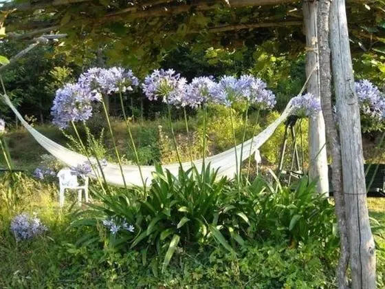 Cozy Holiday Home in Vezzi Portio With Swimming Pool - Dış Mekan