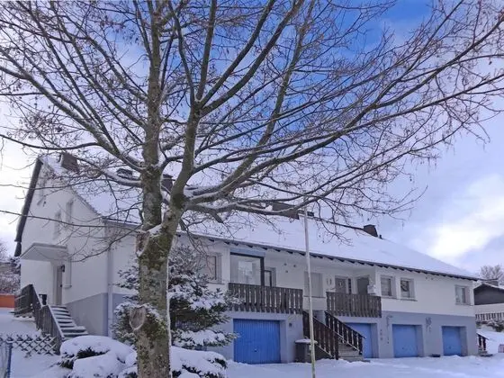 Cozy House with Terrace & Fireplace near Winterberg - 1