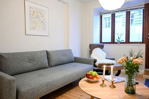 Cozy One-bedroom Apartment on the Ground Floor in Copenhagen Osterbro