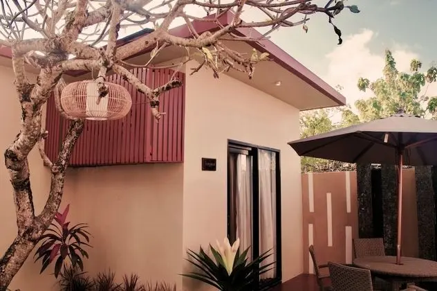 Cozy Palm