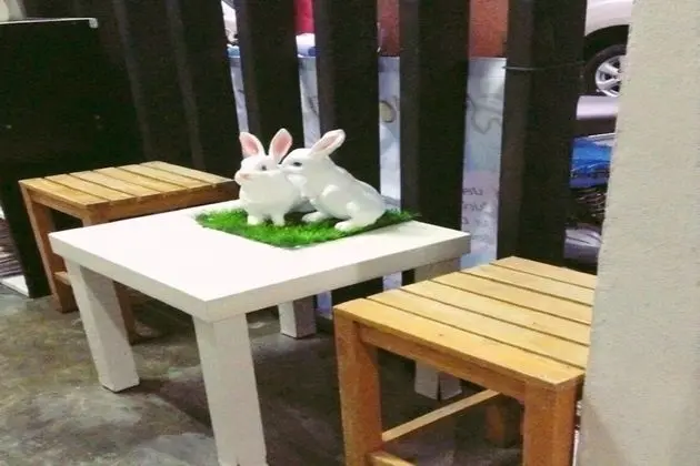 Cozy Rabbit Hotel - Lobi