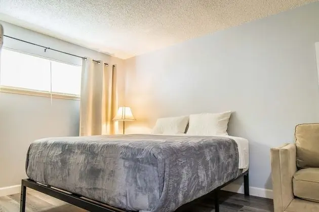 Cozy San Jose Two Bed