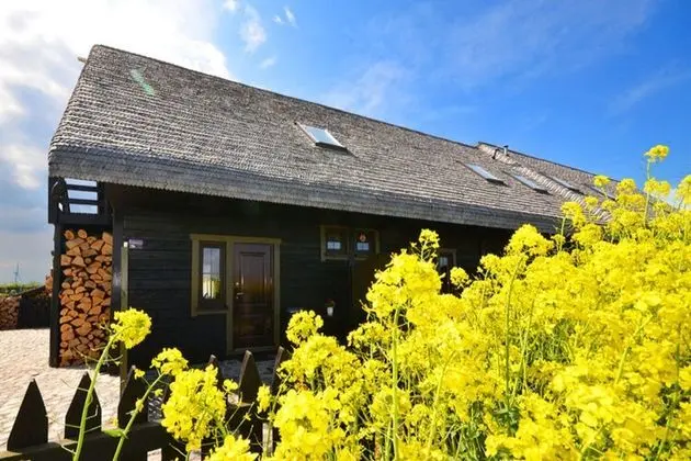 Cozy Studio 3 at the Seaside Agrotourism - Dış Mekan